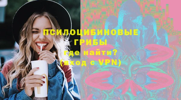 mix Белокуриха