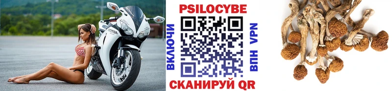Купить закладки  Велиж  Галлюциногенные грибы мухоморы 